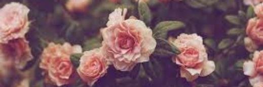 1317SBP's profile banner image