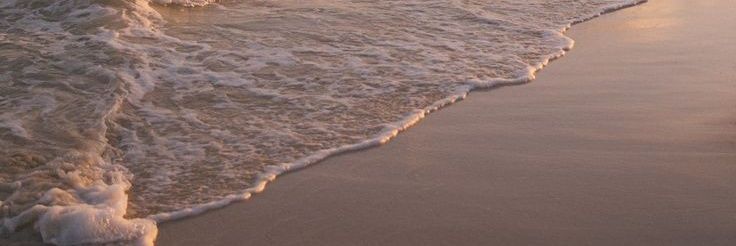 danielacq_'s profile banner image