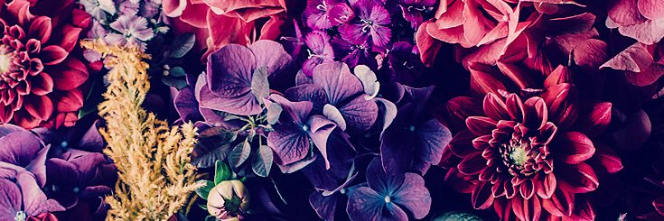 boy_baiii's profile banner image
