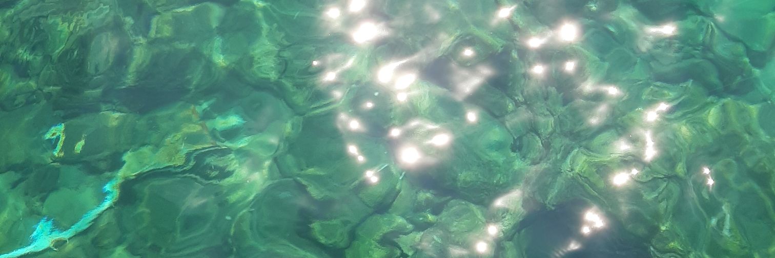 ilaydalpp's profile banner image