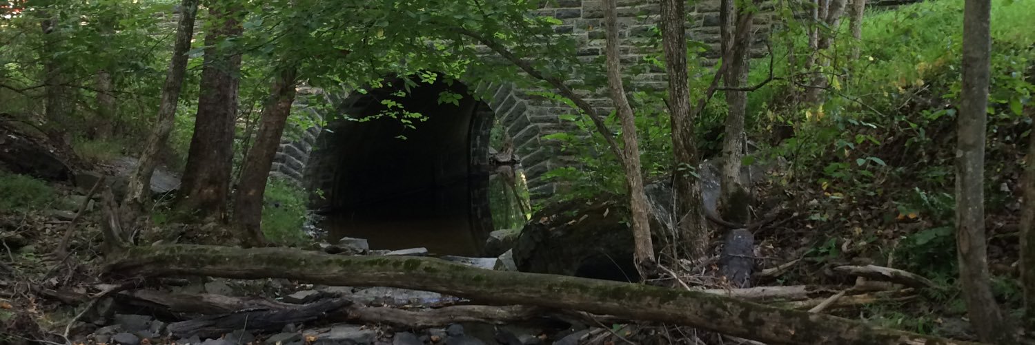 NateV20's profile banner image