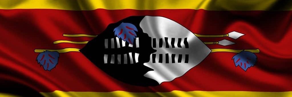 Zuri banner