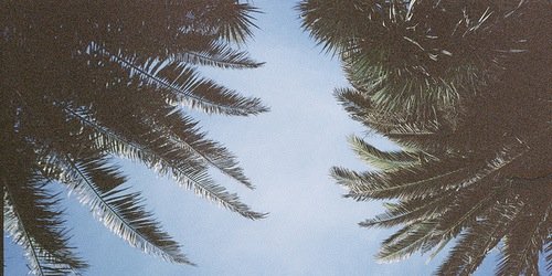 ForTheTokers banner