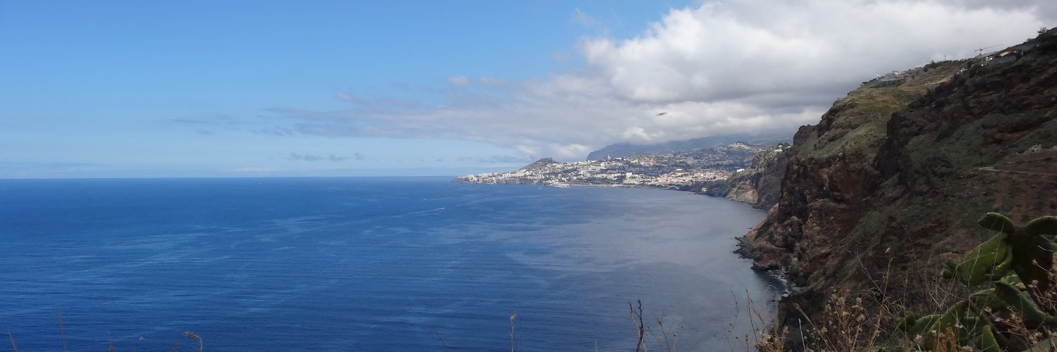 Iulia Darolti banner