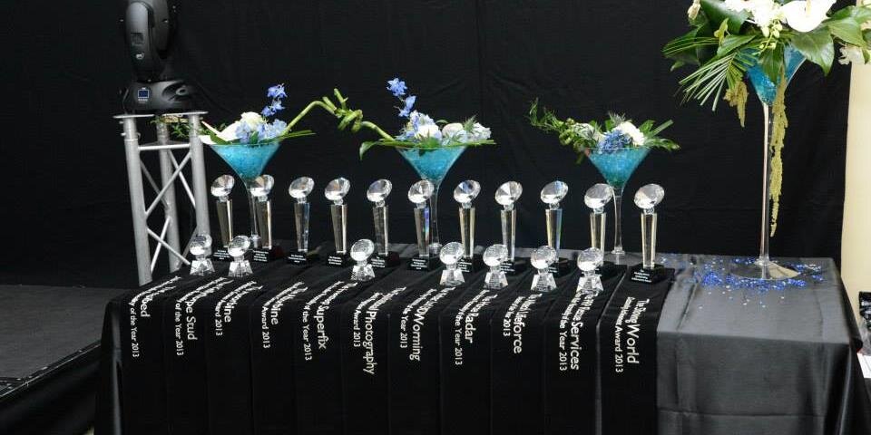 ShowingAwards's profile banner image