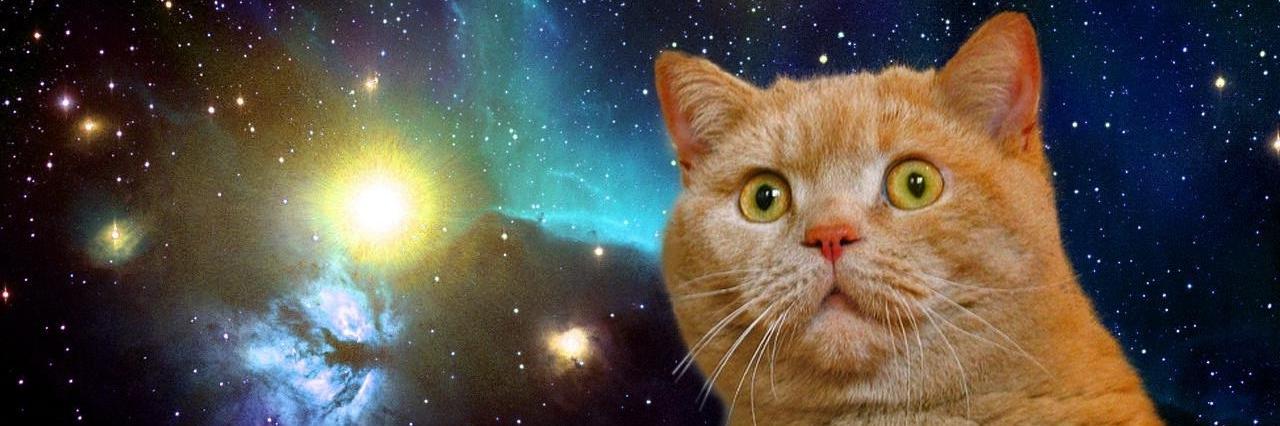 ChrisHansenOP's profile banner image