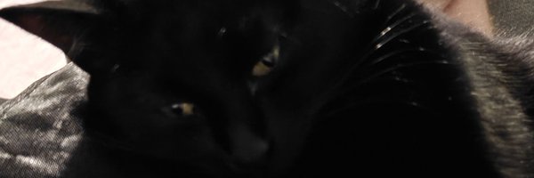 Zacklby Profile Banner