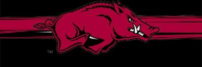 dogmeat4026's profile banner image