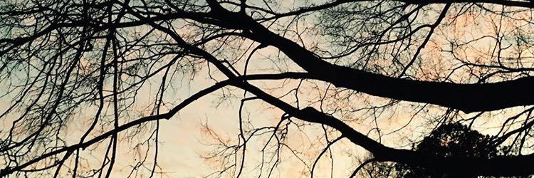 mcadams_haley's profile banner image