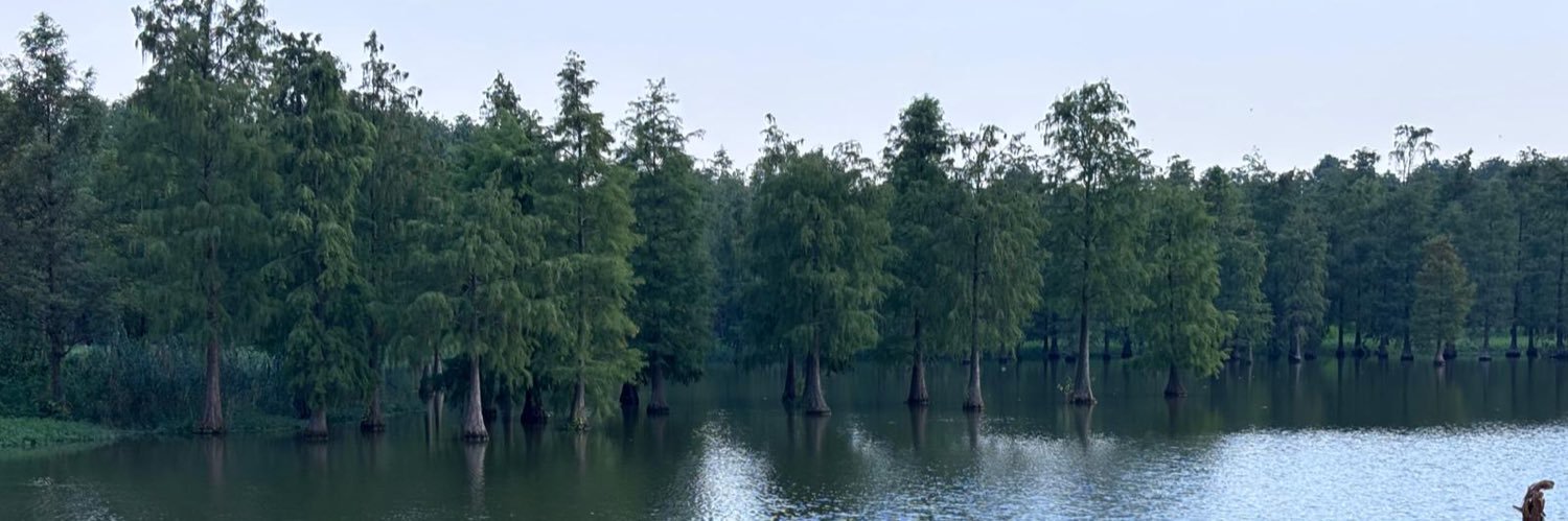 Bukeka's profile banner image