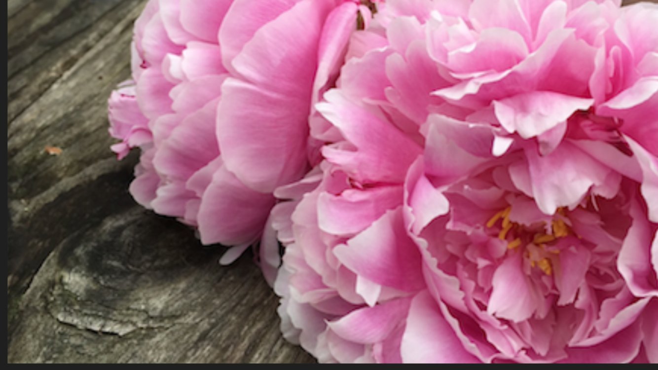 RitaBeth banner