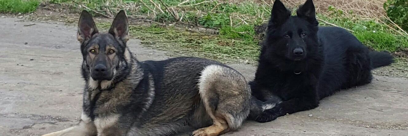 djs597's profile banner image
