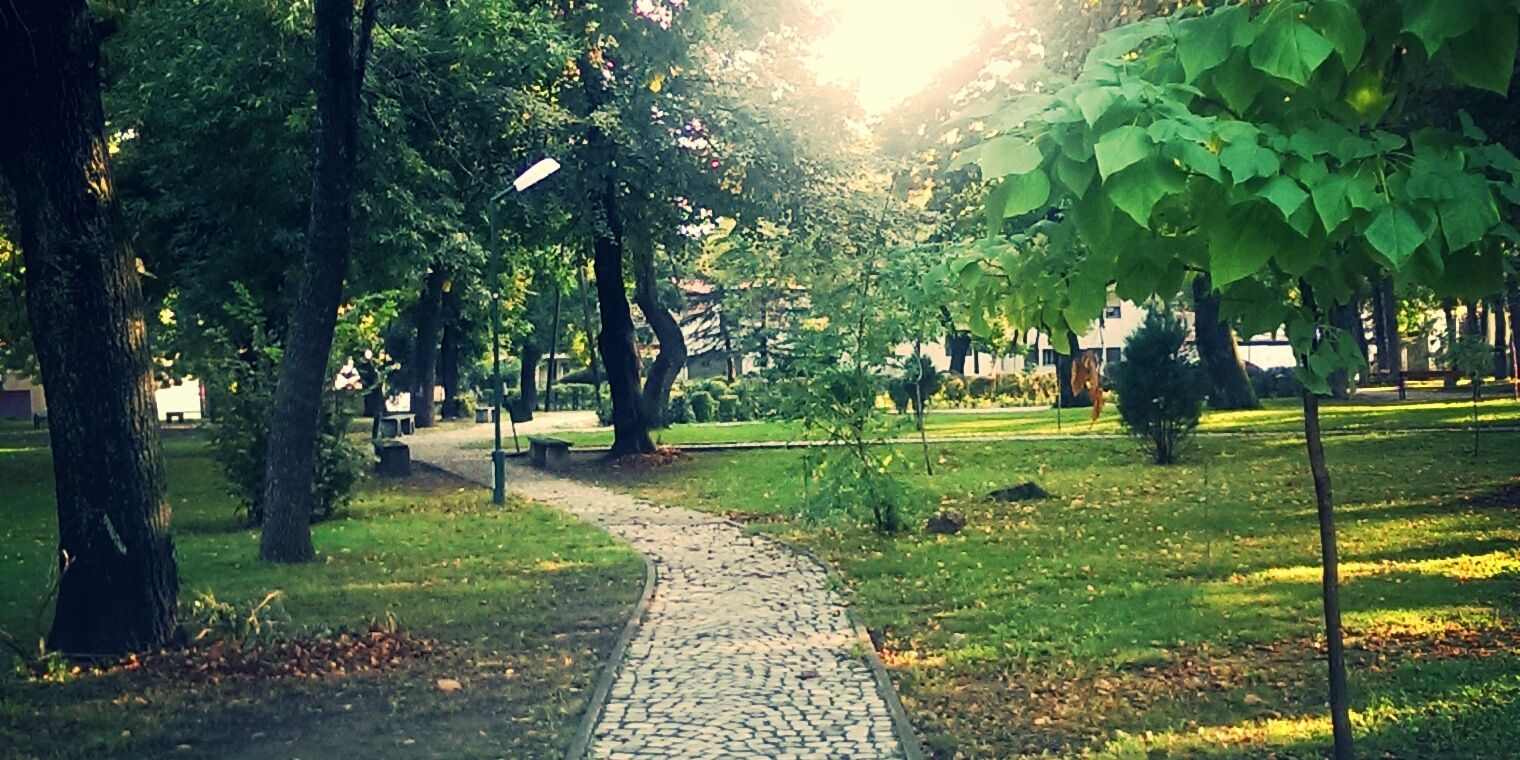 LNajdov's profile banner image