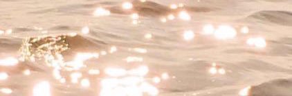 mew_saithan's profile banner image