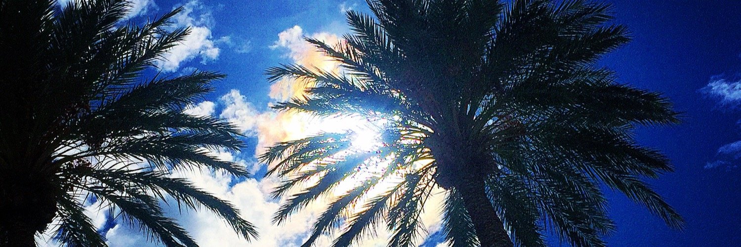 ameibs's profile banner image