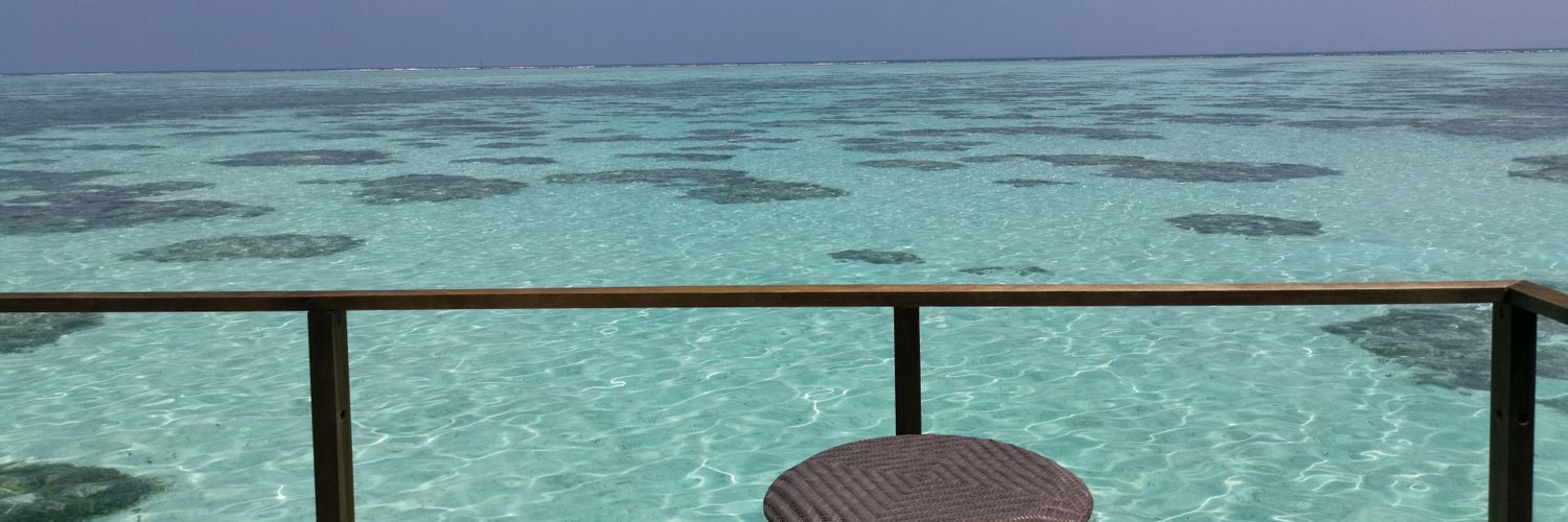 Stéphane Beviere banner