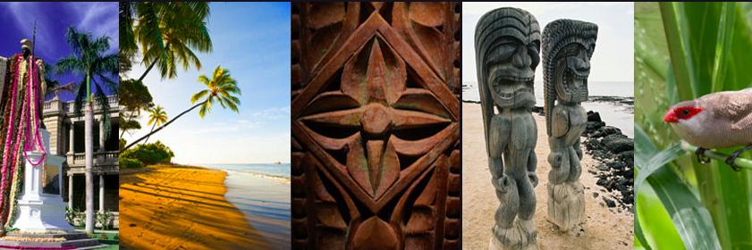 ThisWeekHawaii's profile banner image