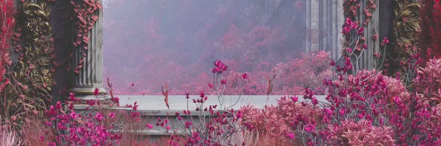 𝔚𝔢𝔩𝔠𝔥𝔶 banner