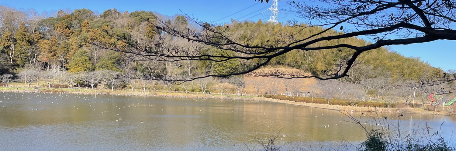 snaken29's profile banner image
