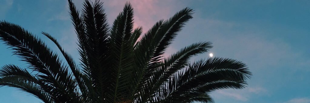 guiacaa's profile banner image