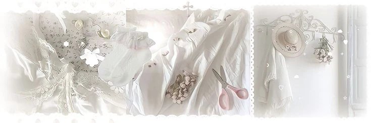 jinia banner