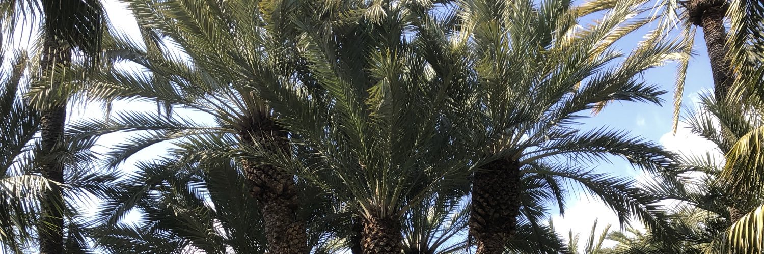 SexInSummer's profile banner image