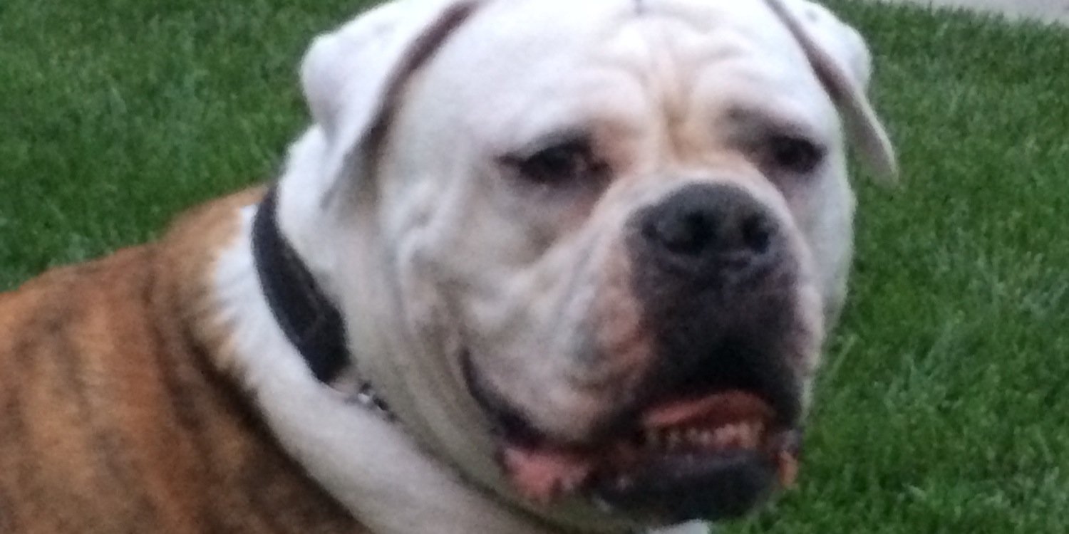 GeorgeMarsHere's profile banner image