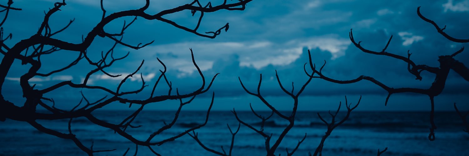 Luludrhj's profile banner image