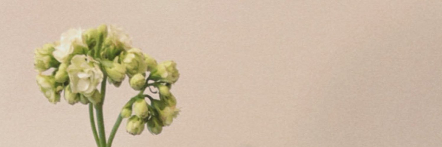 mashael____85's profile banner image