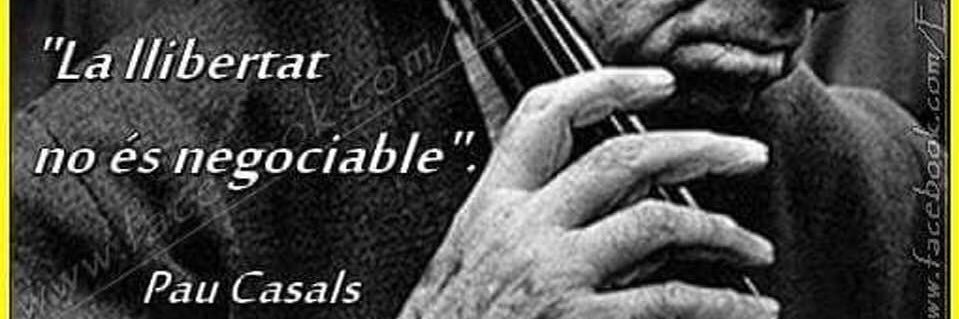 Yolanda Vives 🎗 banner