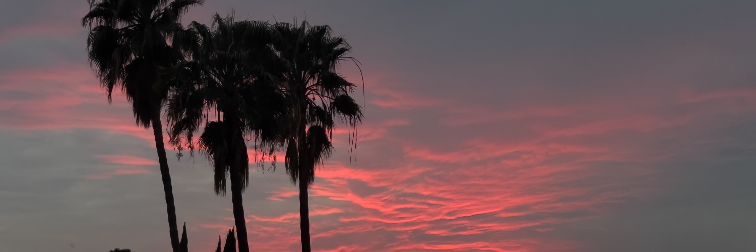 franhealy's profile banner image