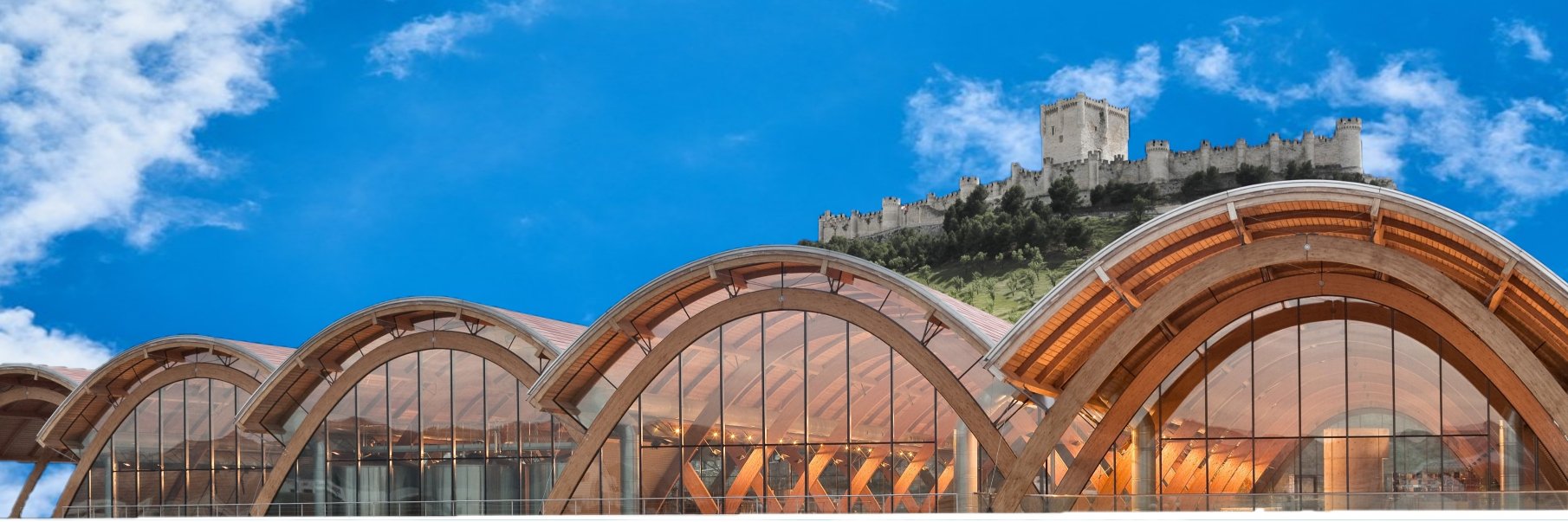 Bodegas Protos banner