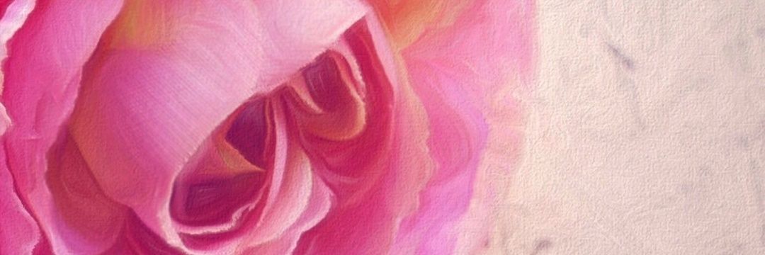 💕بدور الدوسري💕 banner