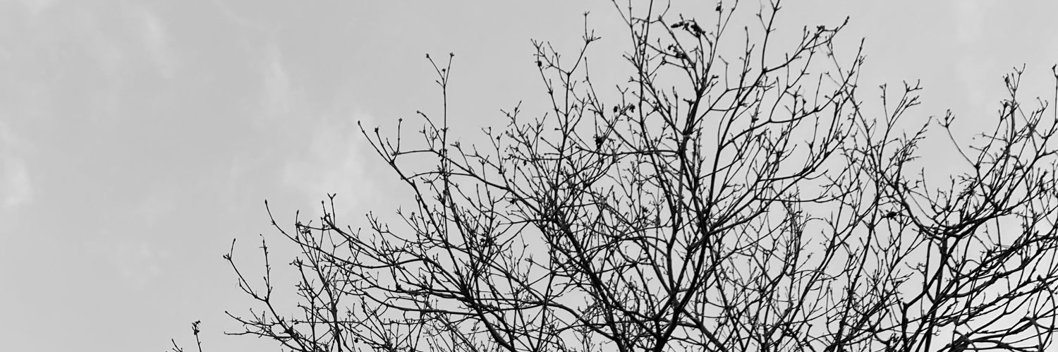 EJRender's profile banner image