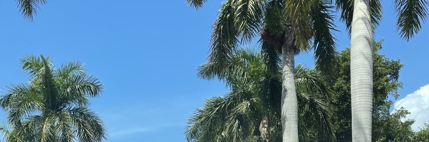 izzynortonn's profile banner image