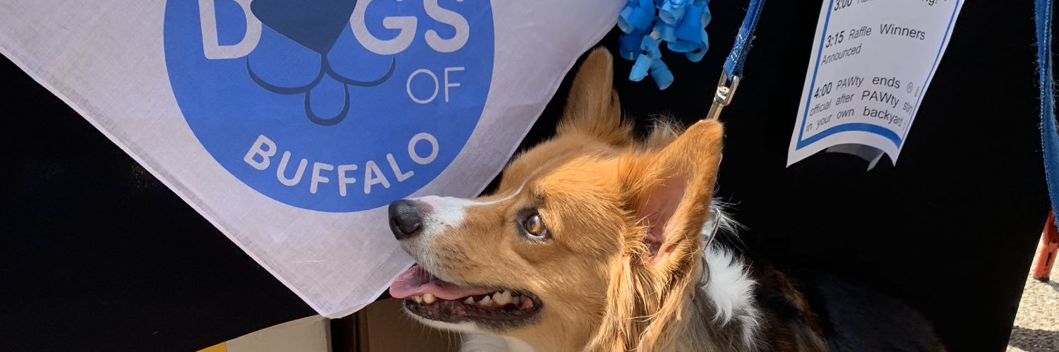 DogsOfBuffalo's profile banner image