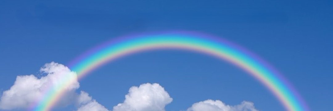 eiko4295's profile banner image
