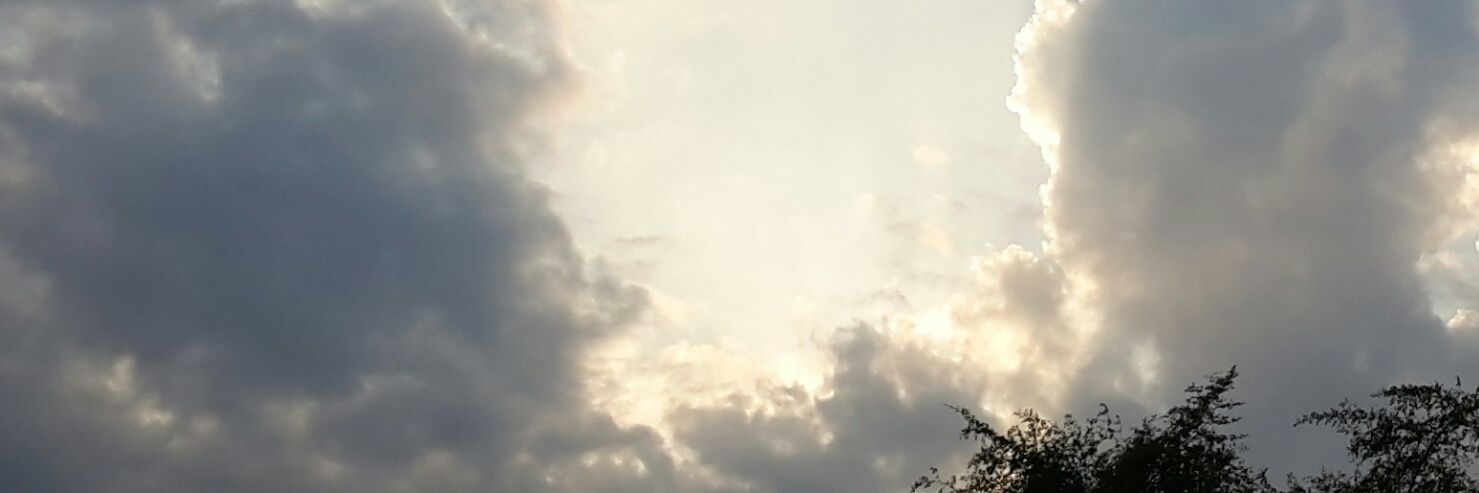 myracomcom's profile banner image