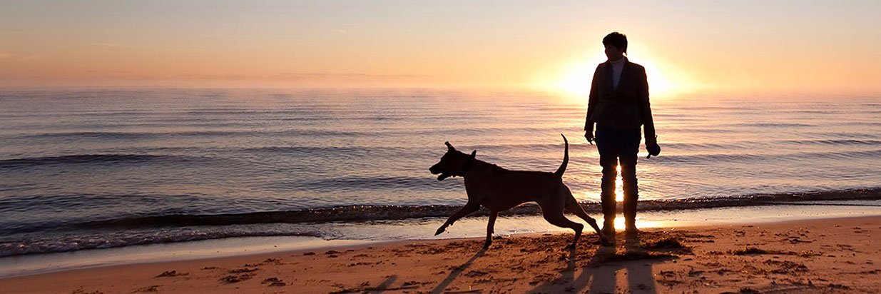 MolokaiAnimals's profile banner image