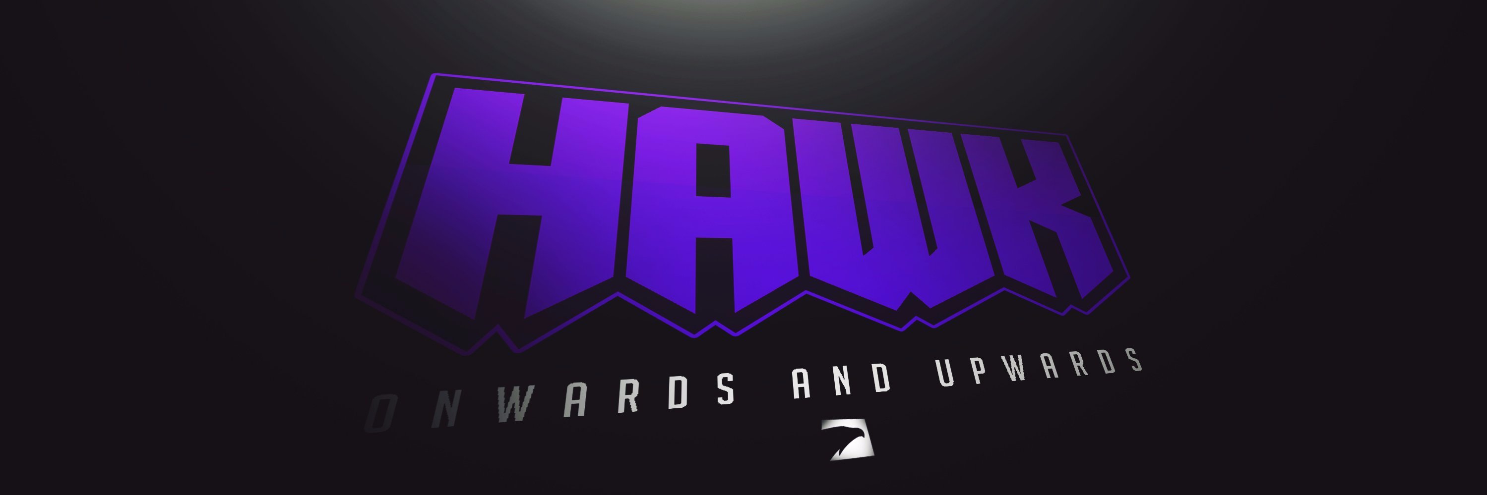 Hawk banner