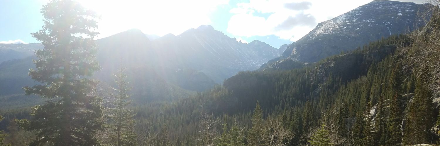 gh_tolerance's profile banner image