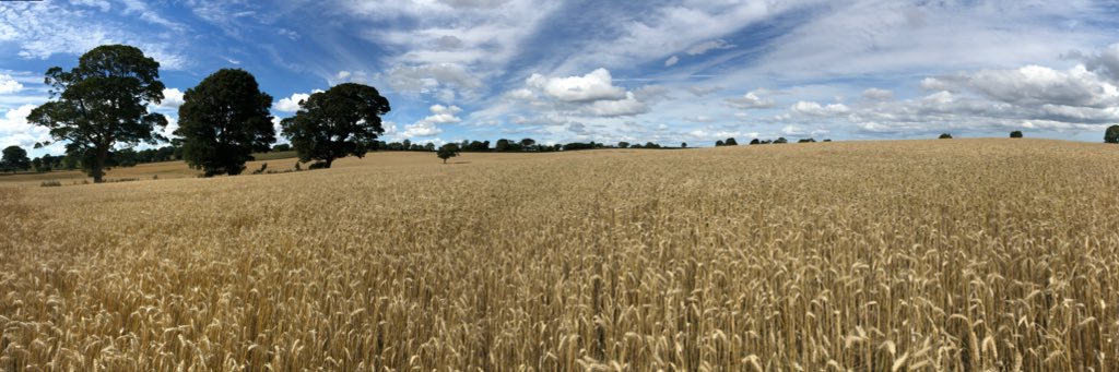 Gilchesters Organics banner