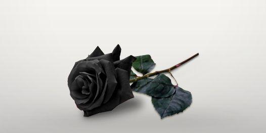 htce_cak's profile banner image