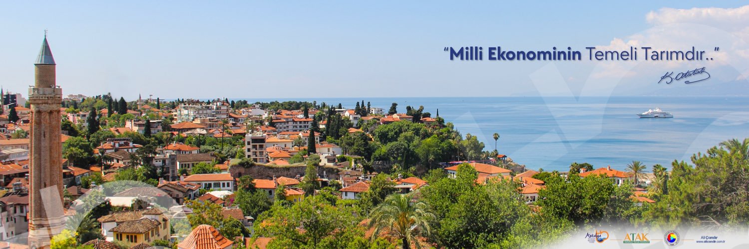 ALİ ÇANDIR (@alicandir) / Posts / X