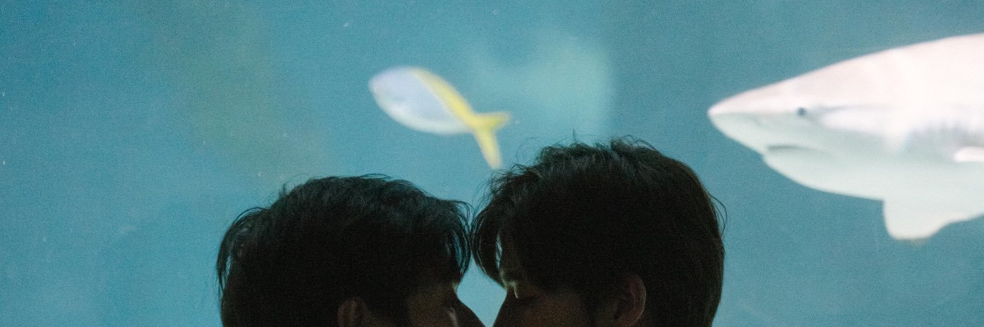 tinkercake ♡* ༘ banner