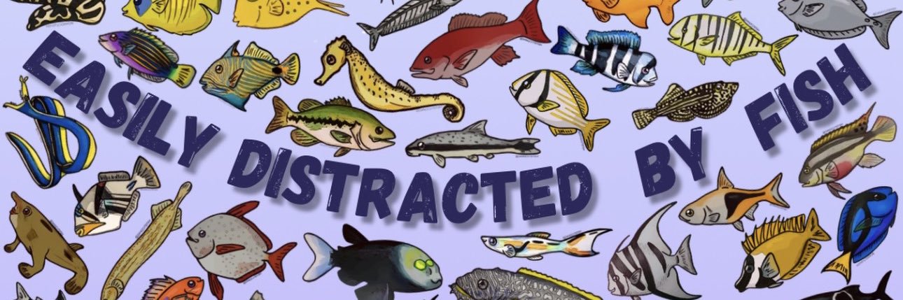 brianarduran's profile banner image