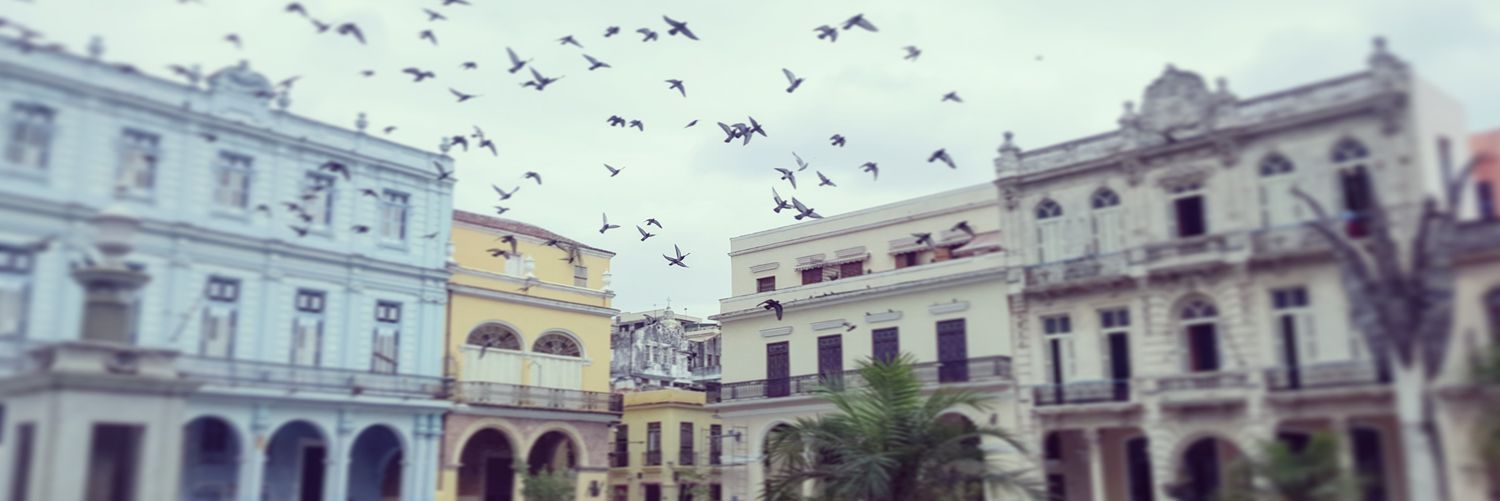 Mike 🇨🇺 banner