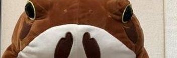 rain_host's profile banner image