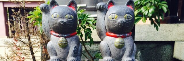 yoppi1541's profile banner image