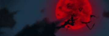 HotShame banner
